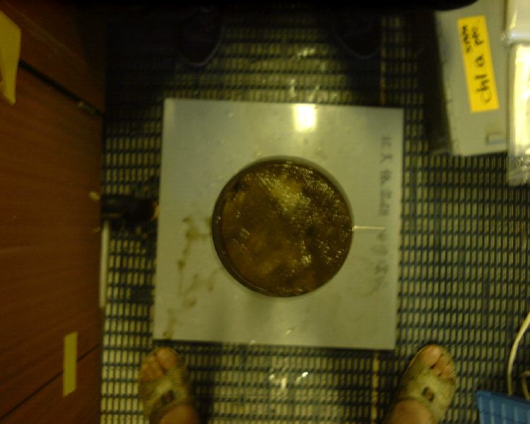 m_DSC00011.JPG