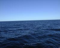 DSC00001.JPG