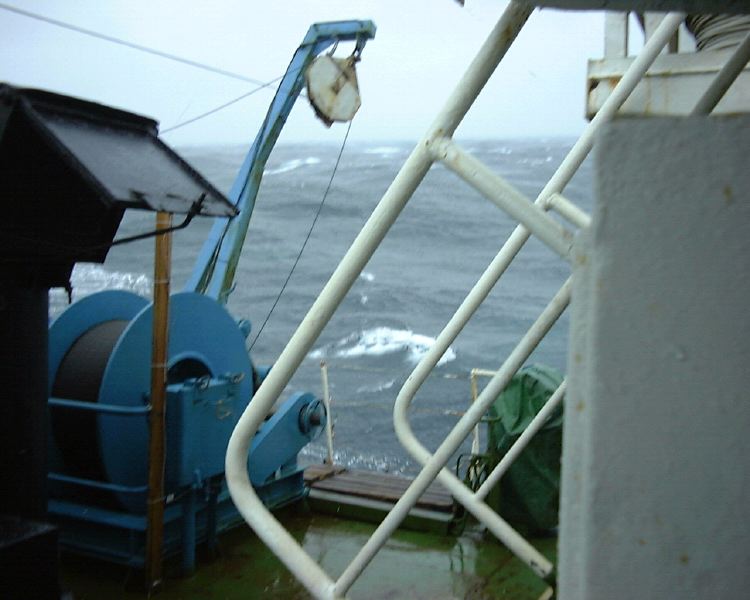 m_DSC00007.JPG