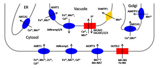 fig3-1