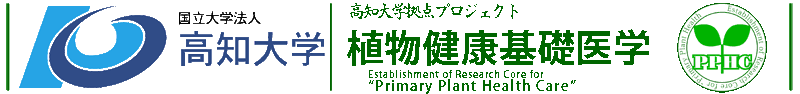 タイトル