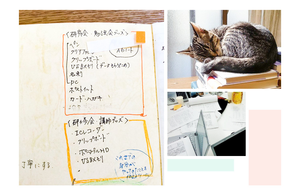杉田 郁代 写真