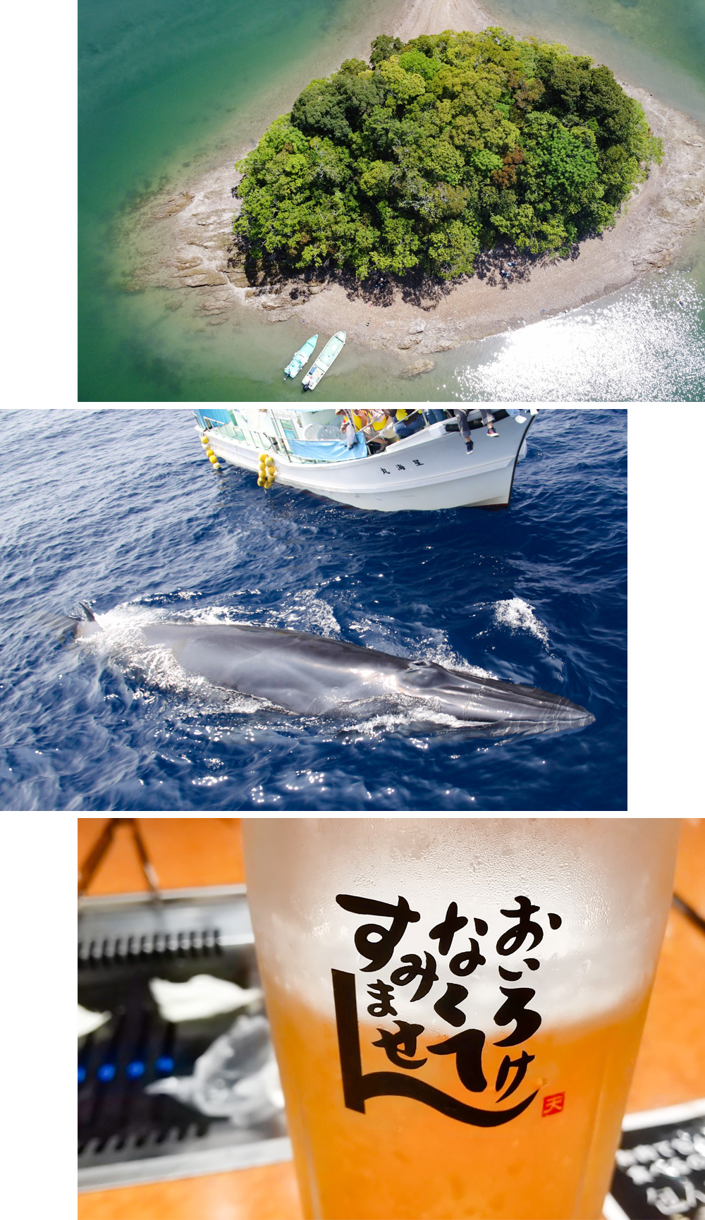 森田 沙知 写真