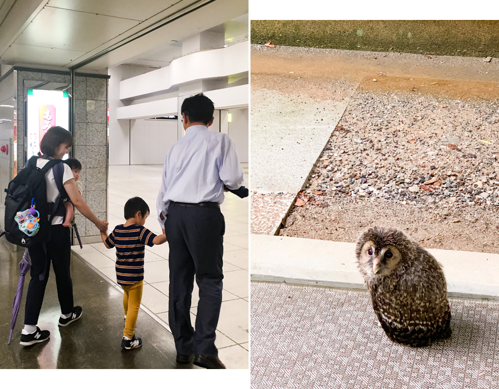 高橋 由子 写真
