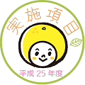 平成25年度 実施項目