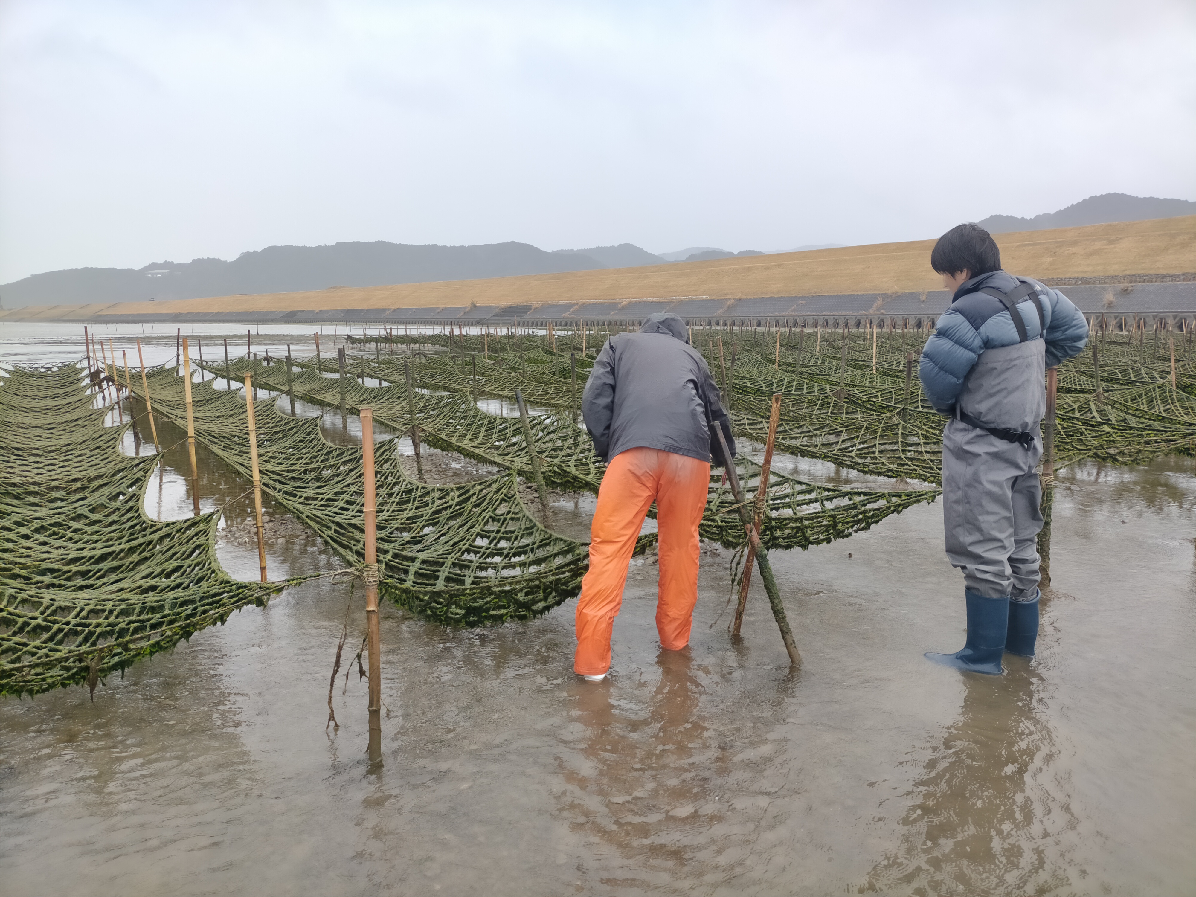 四万十川での調査