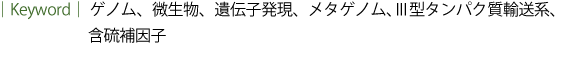 ゲノム、微生物、遺伝子発現、メタゲノム、Ⅲ型タンパク質輸送系、含硫補因子