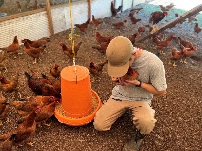 とさやま養鶏場の土佐ジロー