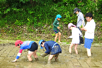 田植え