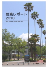 財務レポート2013
