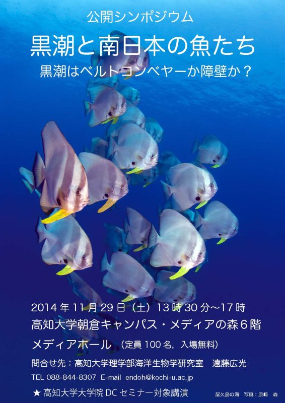 黒潮と南日本の魚たち 黒潮と南日本の魚たち