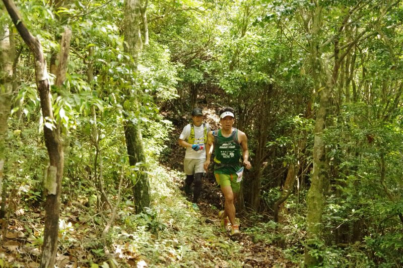 第9回演習林トレラン03.JPG