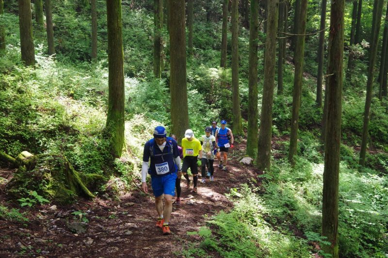 第10回演習林トレラン01.JPG