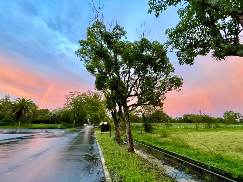お仕事帰りの空、二本の虹、感動。.jpg
