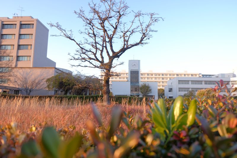 (大賞)42_Autumn vibes in Kochi