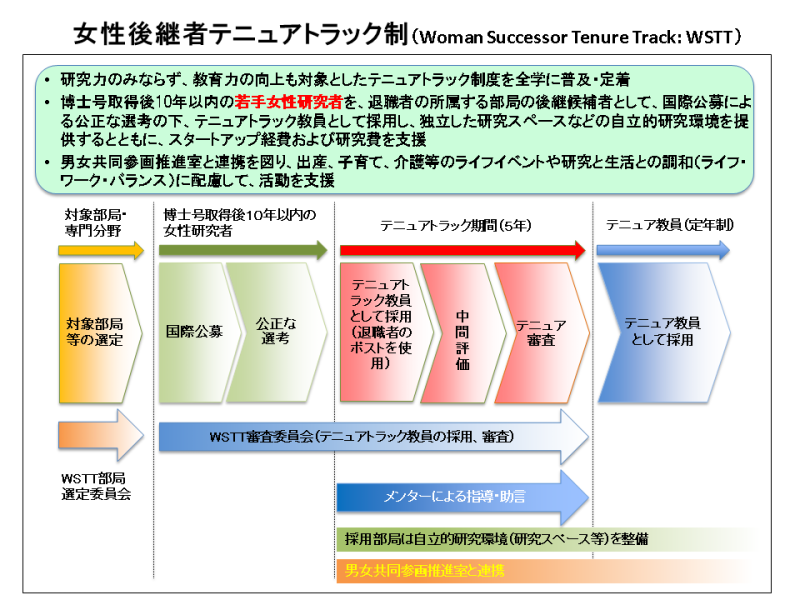 女性後継者テニュアトラック制