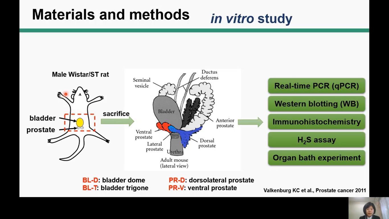 総合人間自然科学研究科　医科学専攻　修士課程２年　Zou Suo
