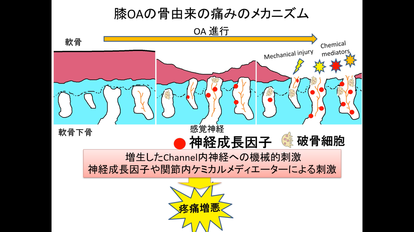 医療学系臨床医学部門 助教 阿漕 孝治