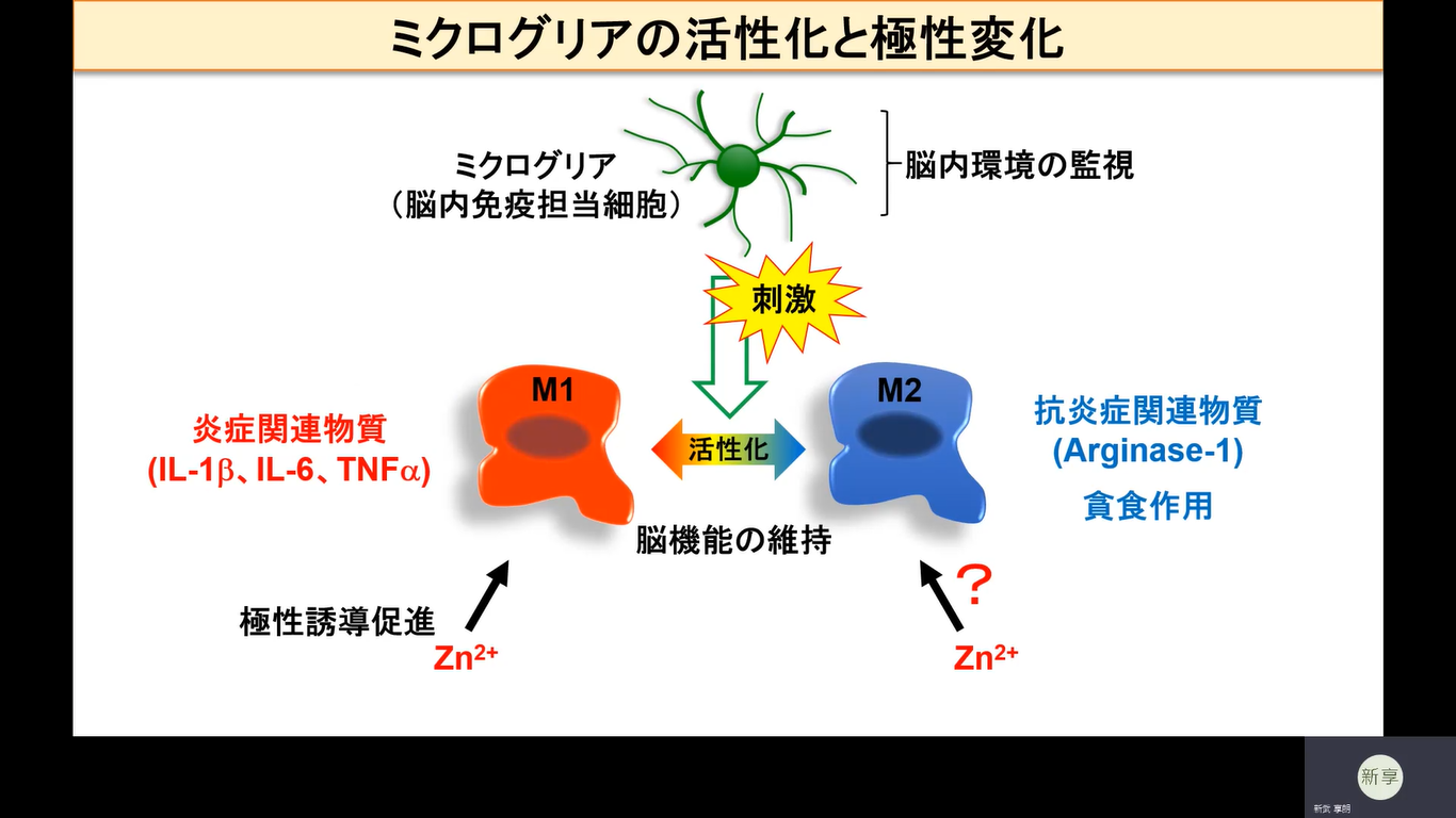 総合人間自然科学研究科 医学専攻 博士課程2年 新武 享朗