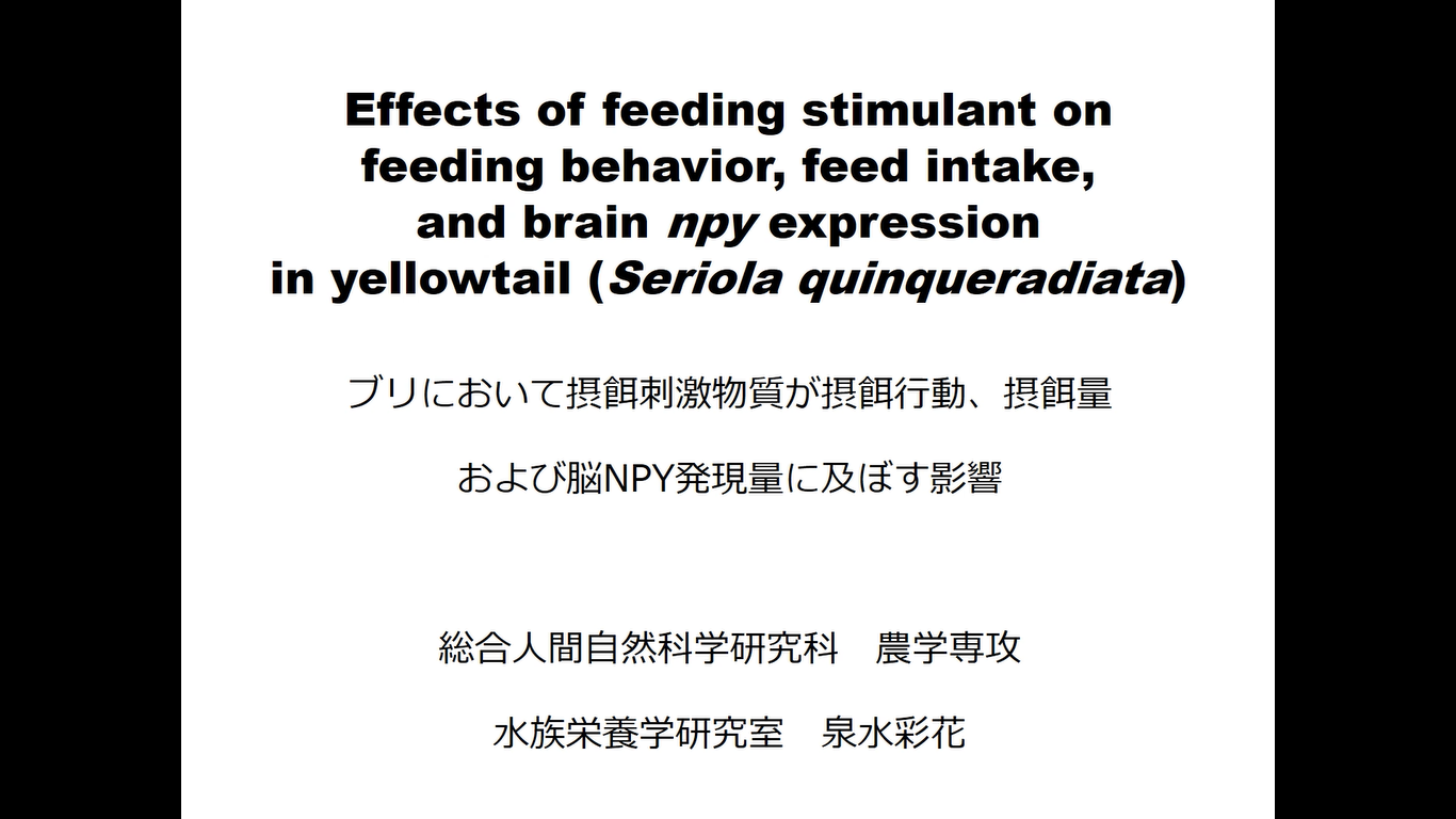 総合人間自然科学研究科　農学専攻　修士課程２年　泉水 彩花
