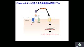 医療学系基礎医学部門　助教　戸高　寛