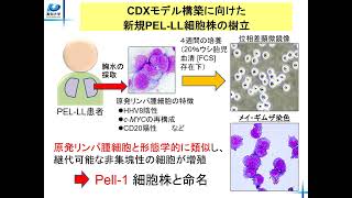 総合人間自然科学研究科　医学専攻　博士課程３年　西森　大洋