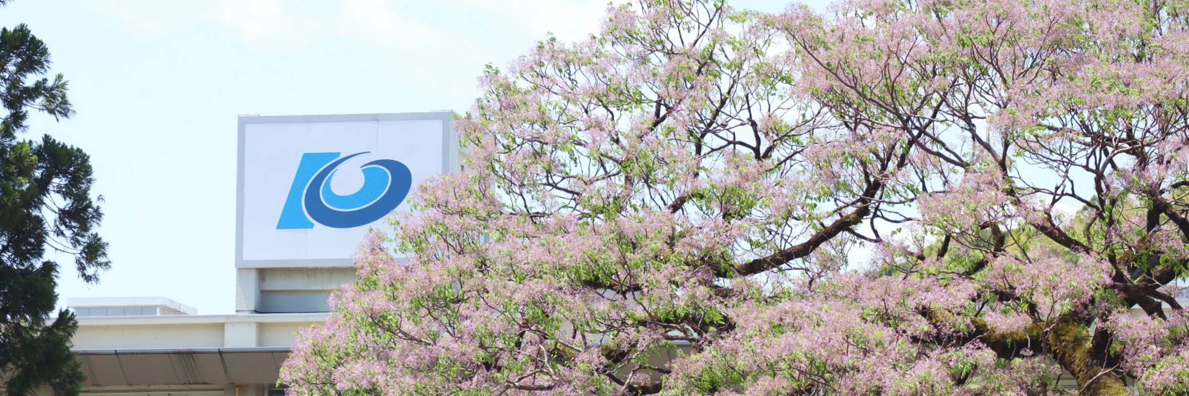 企業・一般の方 - 高知大学