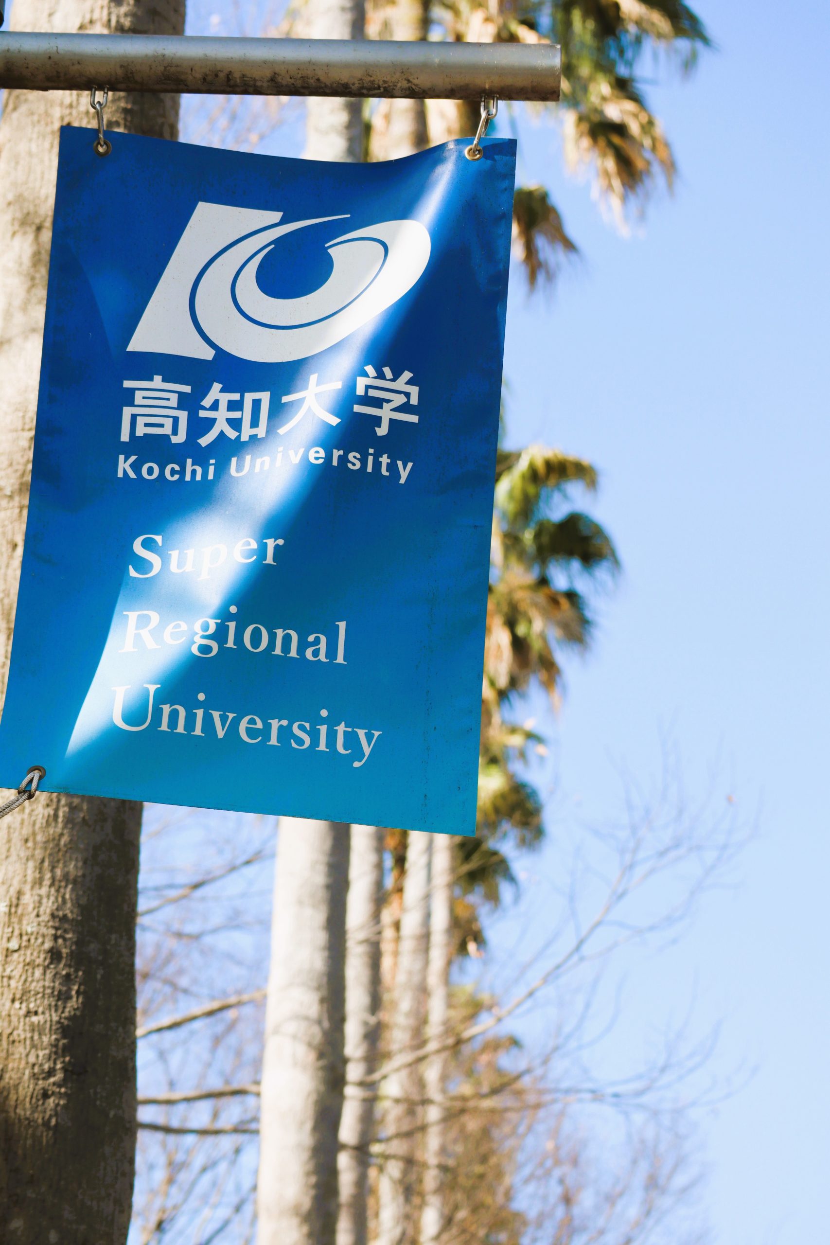 令和7年度前期試験合格発表