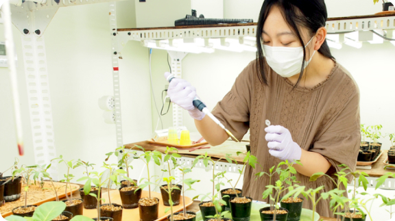 農林海洋科学部