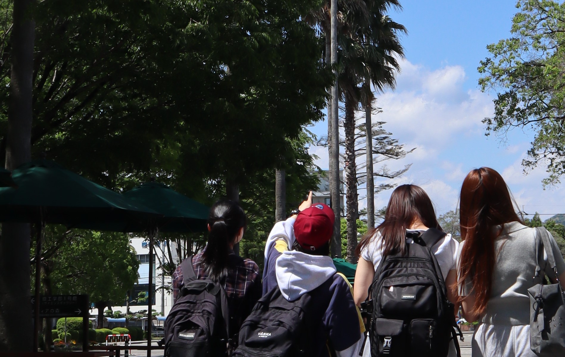 ヤシと学生